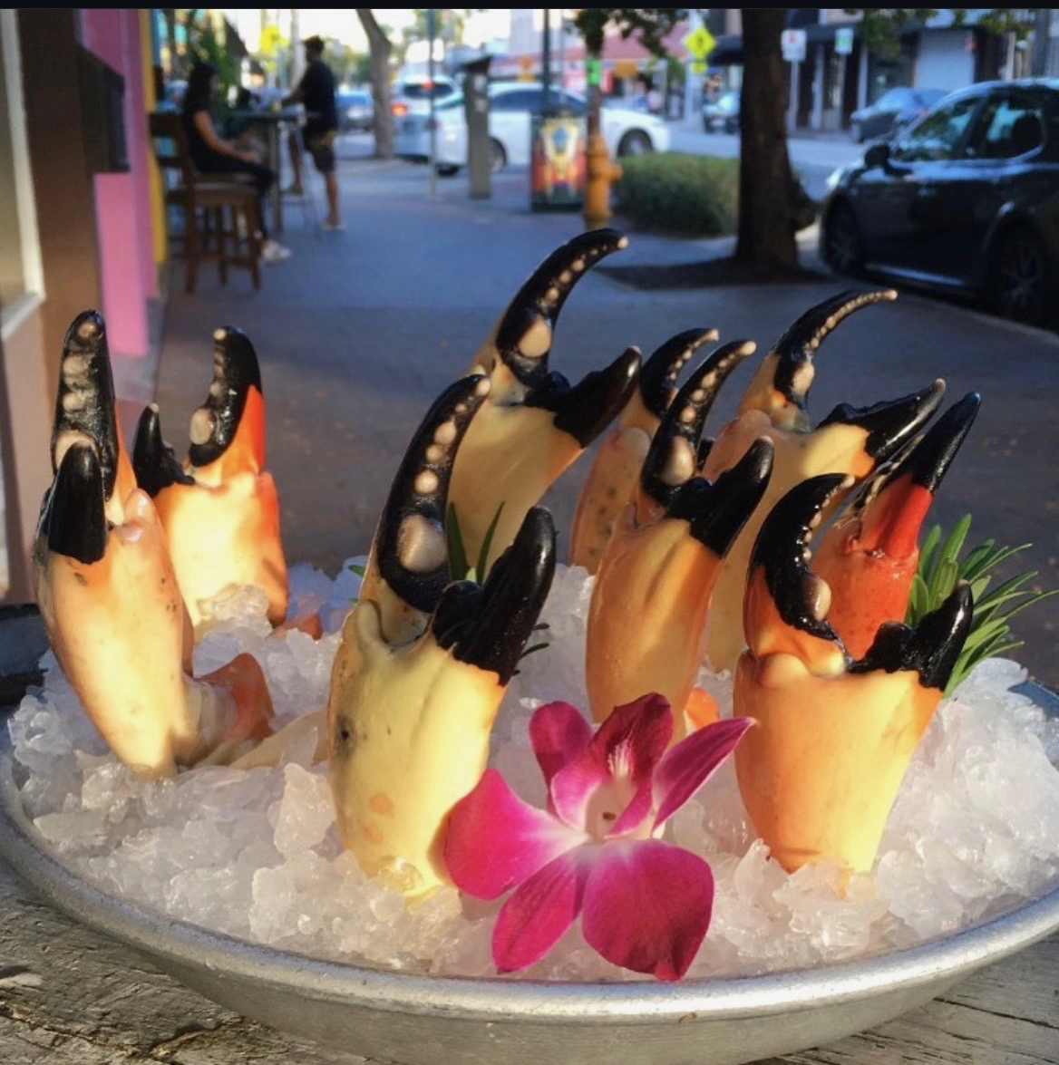 Signature dish plated beautifully